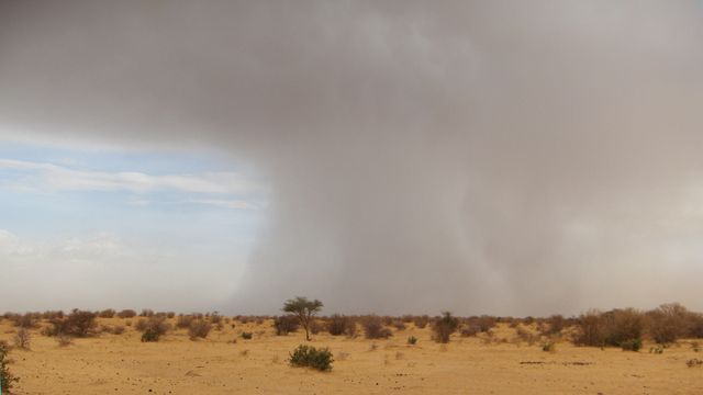 Orage sur la plaine