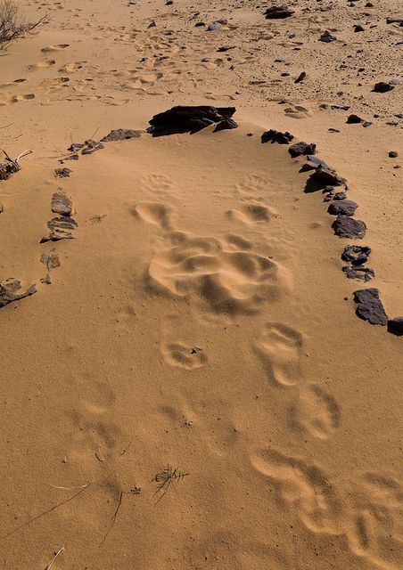 Enceinte de pierres tracée dans le sable