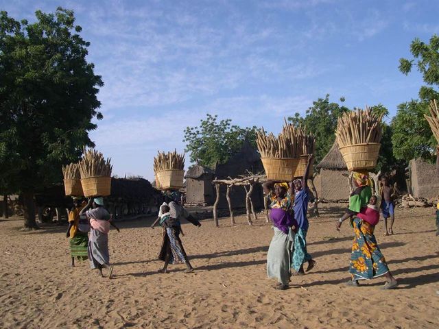 Femmes portant des fagots