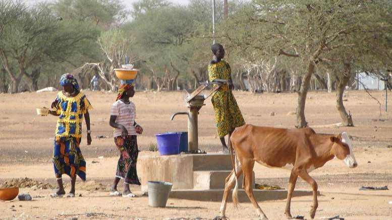 Au puits : femmes et bétail