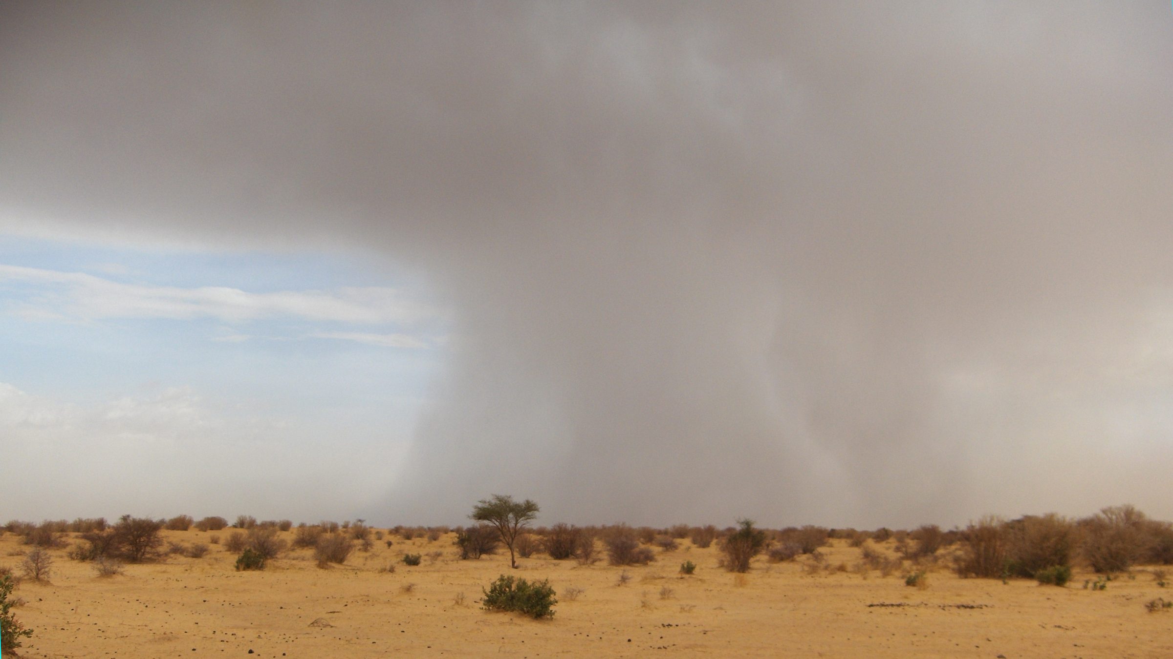 Orage sur la plaine